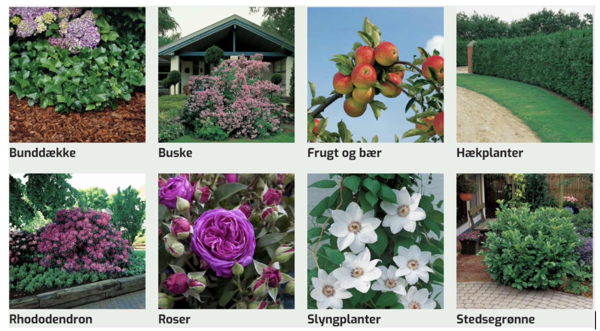 Lyngby Garden Center
